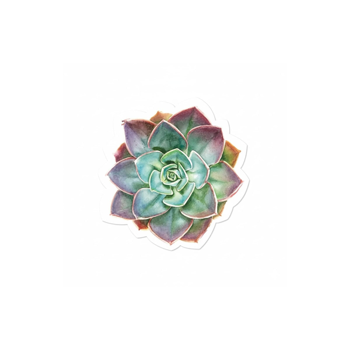 Harman Disposable Napkin, 4.5 Inches X 8 Inches, Succulent