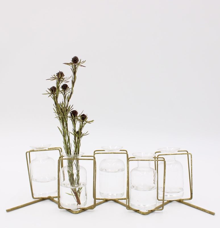 TradeCie Metal with Glass Vases x5, Gold, 12.5-inches Length, Tabletop Decor