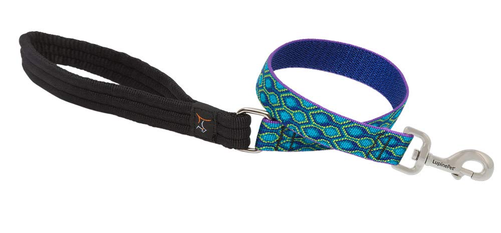 Lupine Pet Originals 1" Rain Song 2-Foot Traffic Lead/Leash for Medium and Larger Dogs