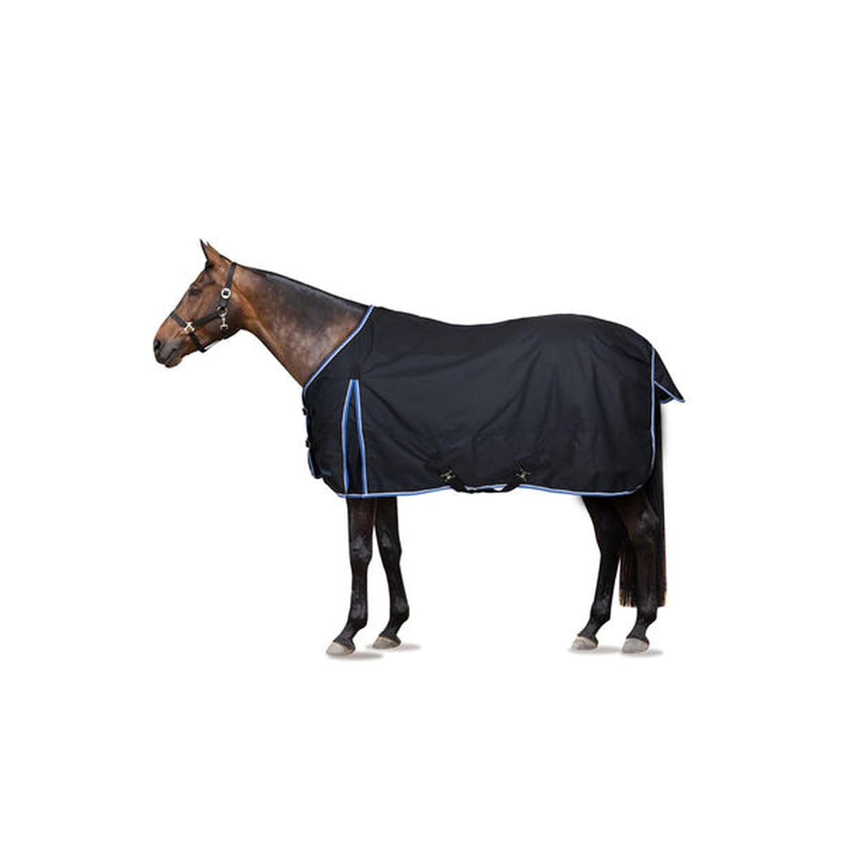 HORZE Pet Apparel