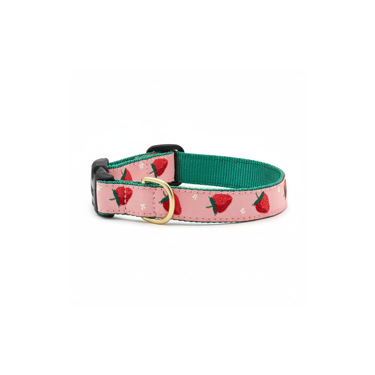 Up Country Animal Collar