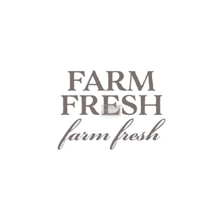 PRIMA MARKETING INC Iron On Transfer Design, Farm Fresh, Multi Color