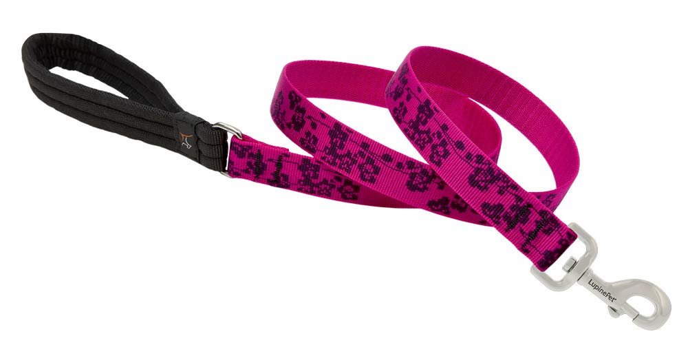 LupinePet Originals 1" Plum Blossom 4-Foot Padded Handle Leash for Medium and Larger Dogs