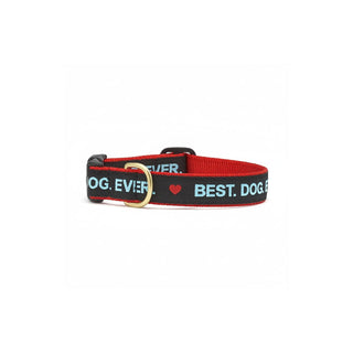 Up Country Animal Collar, 5/8" Width, Small (9"-15"), Narrow 5/8"