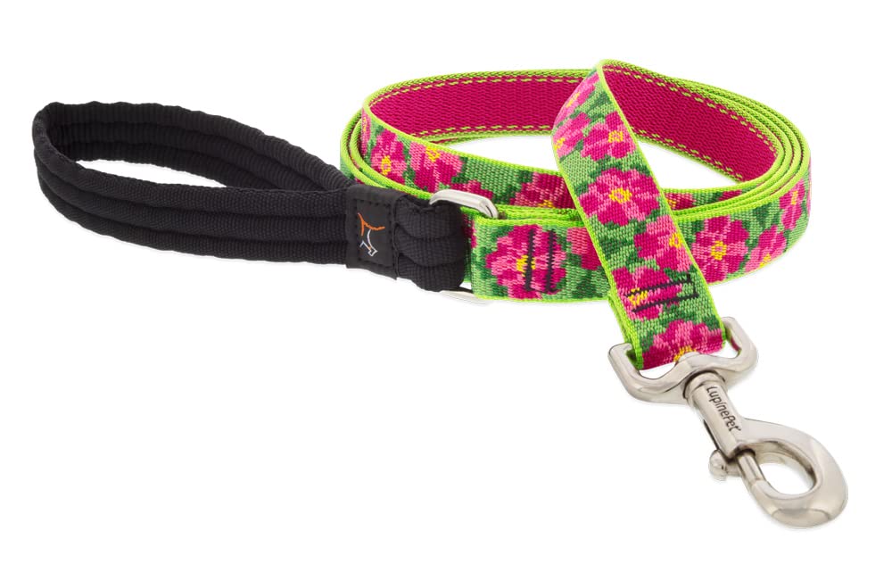 Leash by LupinePet