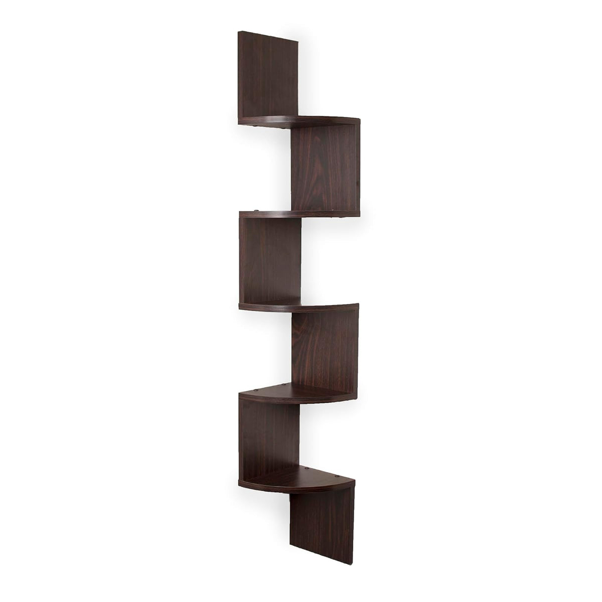 Danya B Shelf