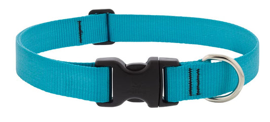 Lupine Pet Dog Collar 1" Wide Aqua adjusts 16-28" Long