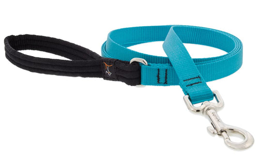 Lupine Pet Padded Handle Dog Leash 3/4" Wide Aqua 6-Foot Long
