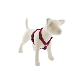 LupinePet Animal Harness