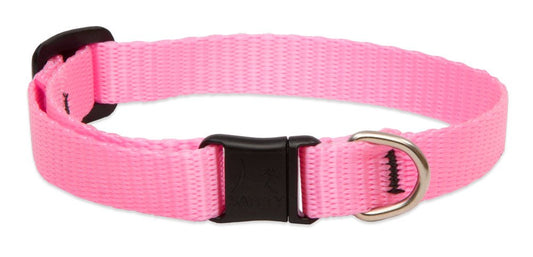 LupinePet Basics 1/2" Pink Cat Safety Collar , 8-12"