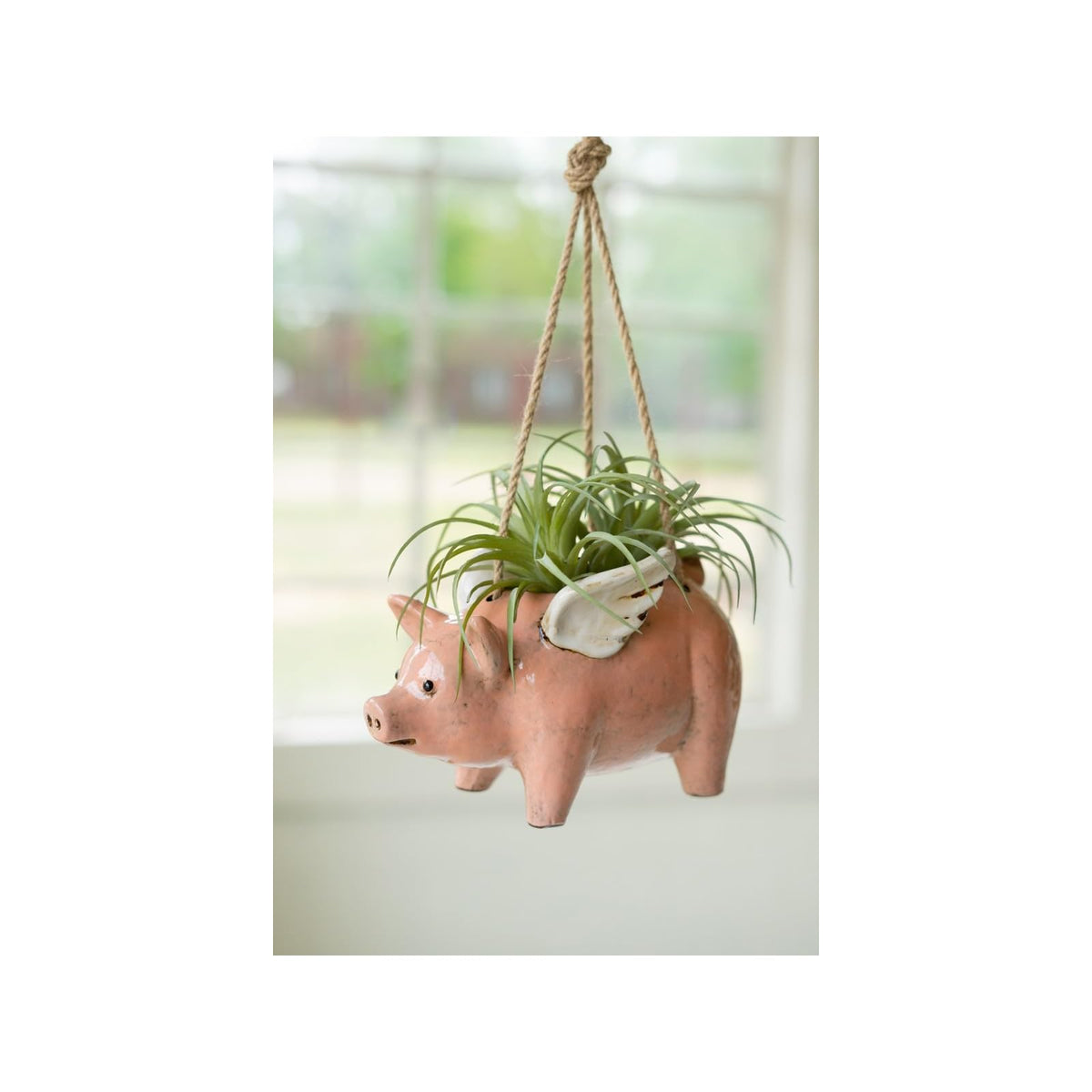 KALALOU Planter, 8" x 4.5" x 5"t