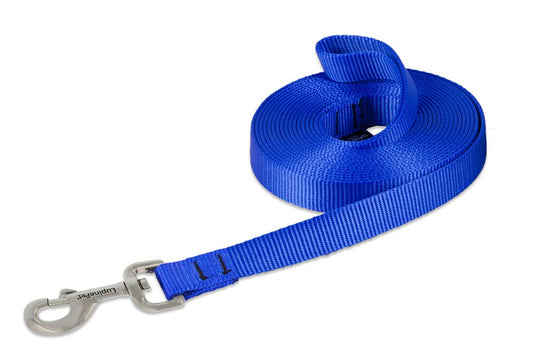 Lupine Pet Basics 3/4" Blue 15-Foot Extra-Long Training Lead/Leash for Medium and Larger Dogs