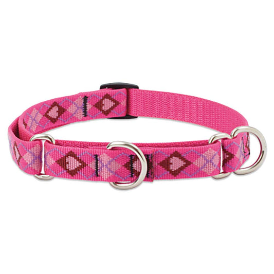 Lupine Pet Originals 1" Puppy Love 15-22" Martingale Collar for Medium and Larger Dogs