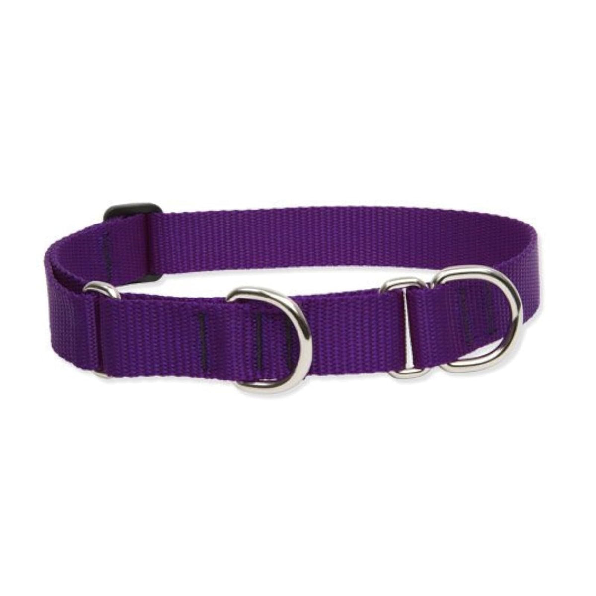 LupinePet Animal Collar