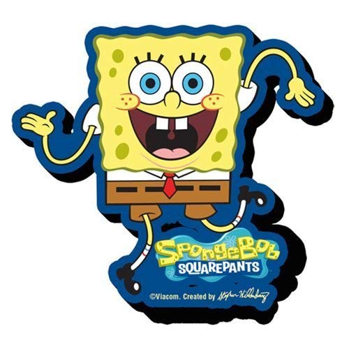 AQUARIUS Decorative Magnet, 2 inches x 3 inches, Fridge Magnet