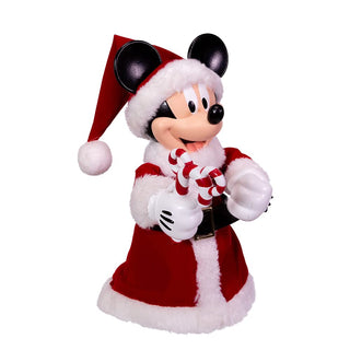 Disney Traditions