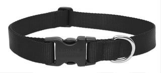 Lupine Pet Basics 1" Black 25-31" Adjustable Collar for Extra Large Dogs