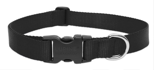 Lupine Pet Basics 1" Black 25-31" Adjustable Collar for Extra Large Dogs
