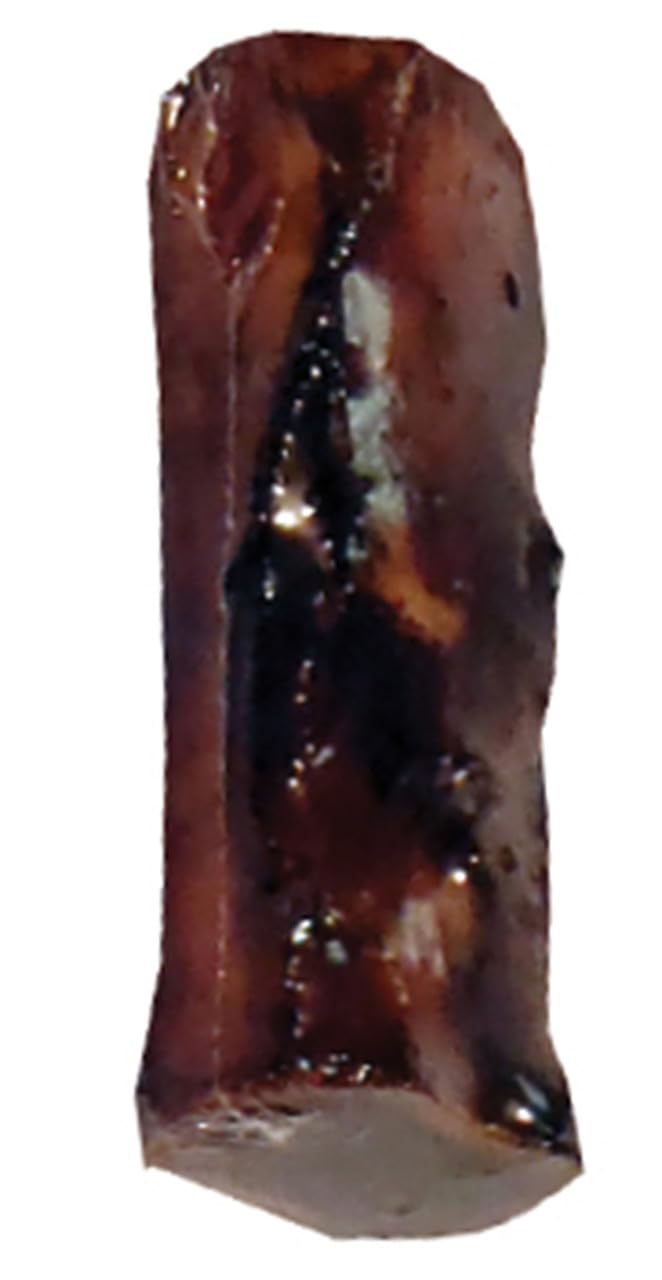 SCOOCHIE PET PRODUCTS 10R 4.5 in. Center Cut Meaty Natural Bone