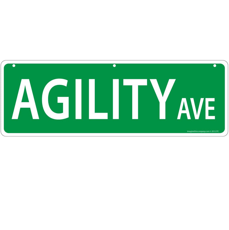 Imagine This Agility Ave Street Sign