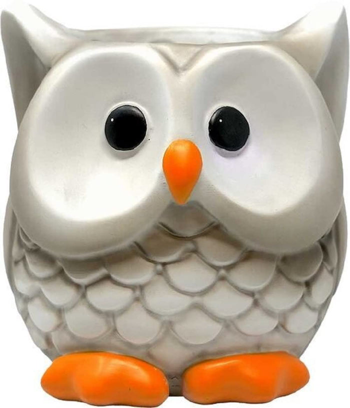 Spoontiques Owl Flower Pot, Home D√©cor, Tabletop Decoration, Vase Window D√©cor, Indoor Outdoor D√©cor