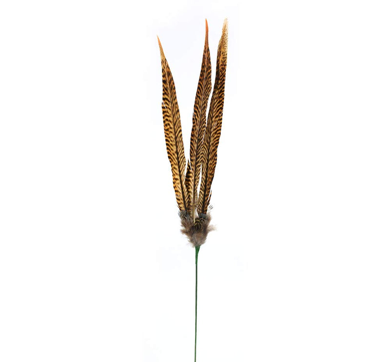 Golden Pheasant Feather Stem 27" Natural, 4 Individual Stems Included