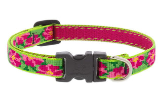 LupinePet Animal Collar, 1/2"wide, adjusts 10-16-inches, Pink, Green