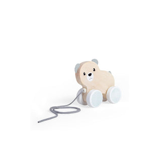 Bigjigs Toys Push Pull Toy