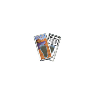 FootWhere Decorative Magnet