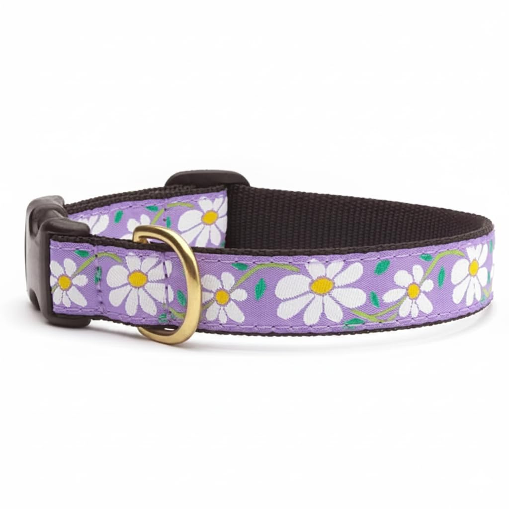 Up Country Animal Collar