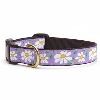 Up Country Animal Collar