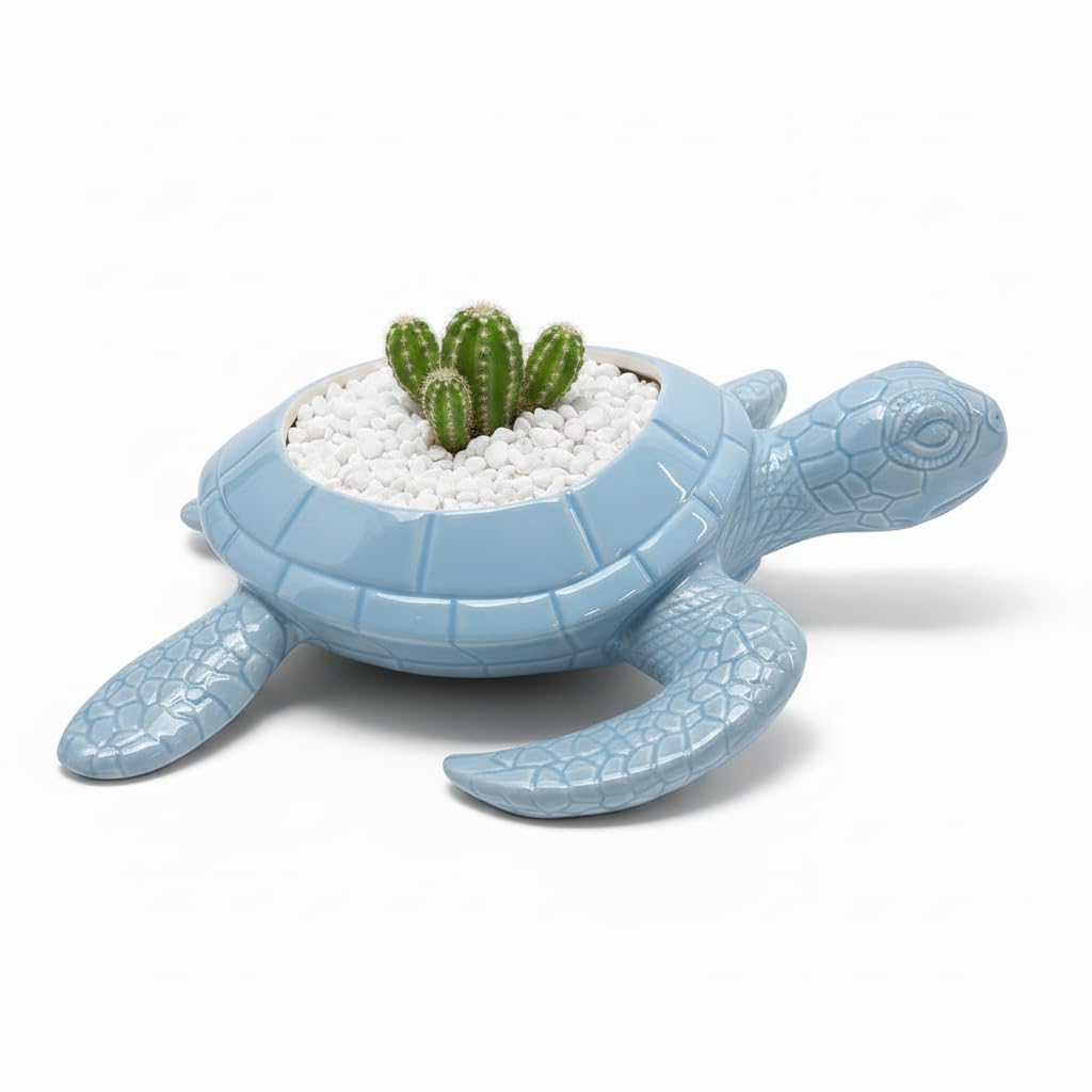 Comfy Hour Farmhouse Home Decor Collection 9" Turtle Succulent Planter Flower Bud Pot Mini Decorative Vase, Blue, Dolomite