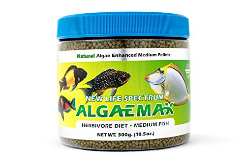 New Life International AlgaeMax Medium 300g (Naturox Series)