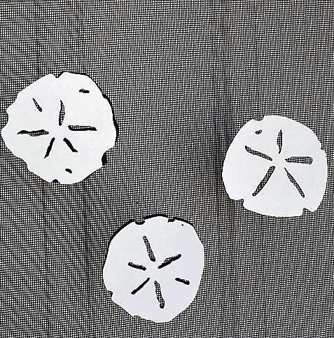 DCentral Decorative Magnet, 4.5*2.5 inches, White