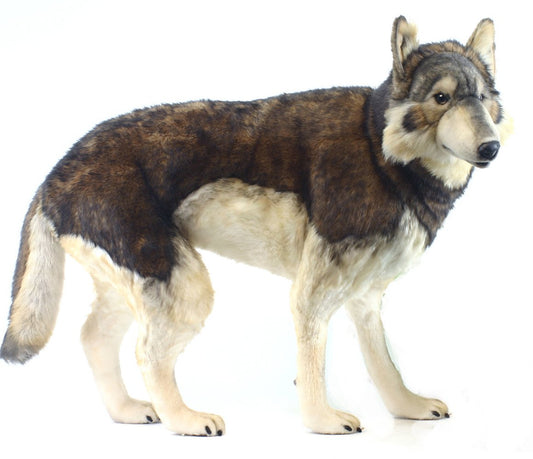 Hansa Timber Wolf