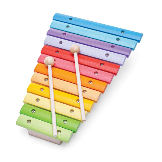 Bigjigs Toys Musical Instrument Toy, Medium, Multicoloured