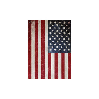PRIMA MARKETING INC Iron On Transfer Design, Redesign Décor Transfers - America
