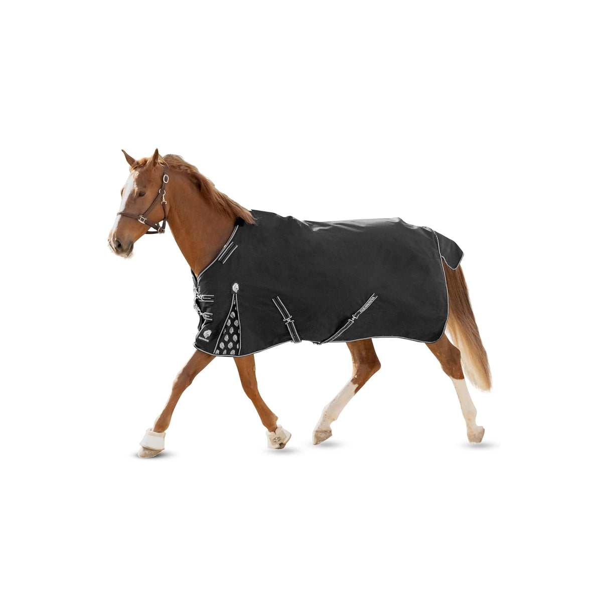 Equinavia Blanket, 69 in, Black