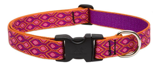 Lupine Pet Originals 1" Alpen Glow 12-20" Adjustable Collar for Medium and Larger Dogs