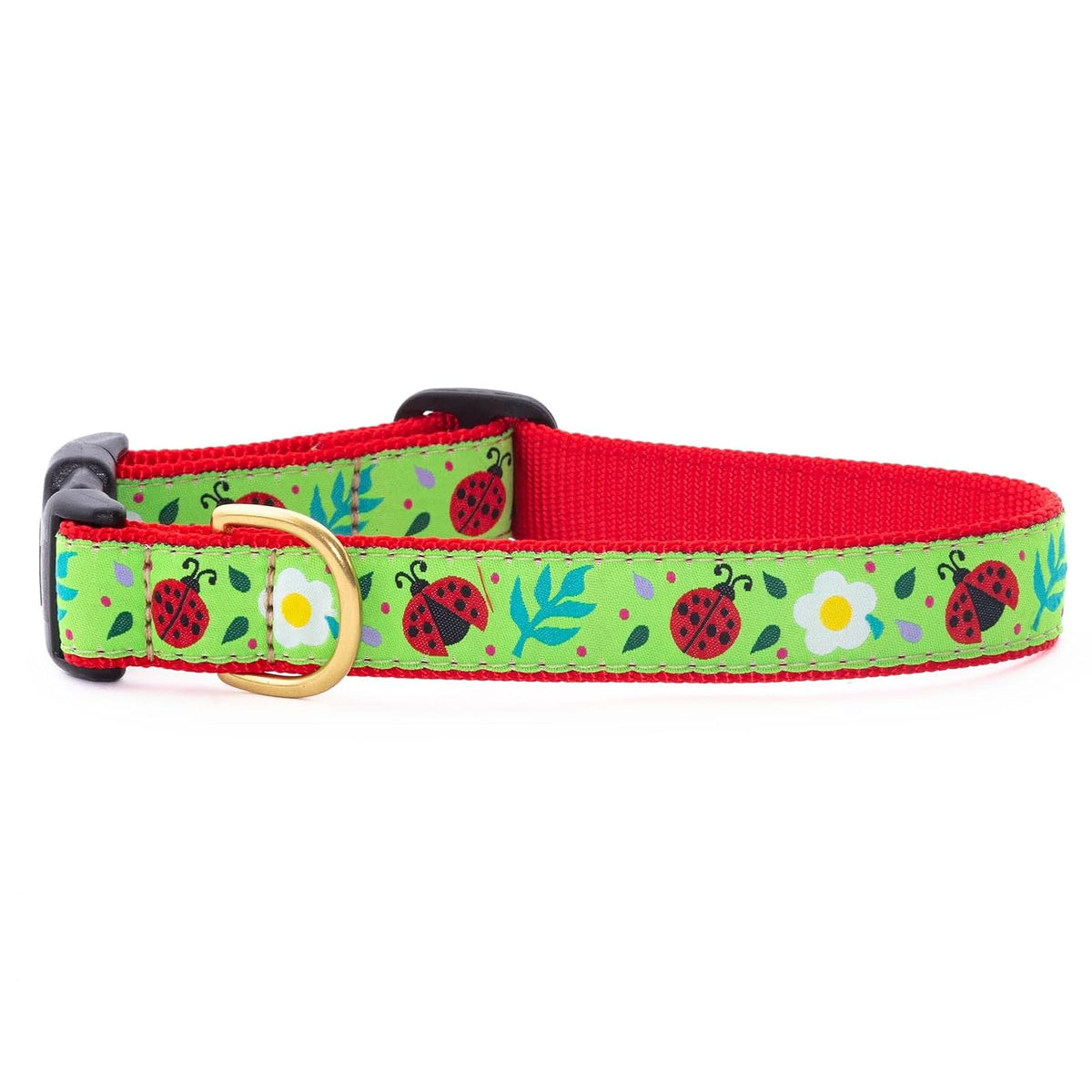 Up Country Animal Collar, Medium (12"-18") 5/8" width, Green