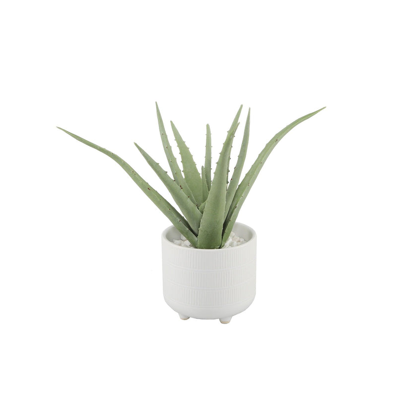 Flora Bunda Aloe in Barcode Footed Ceramic, 10-inch Length, Tabletop, Garden, Home Decor