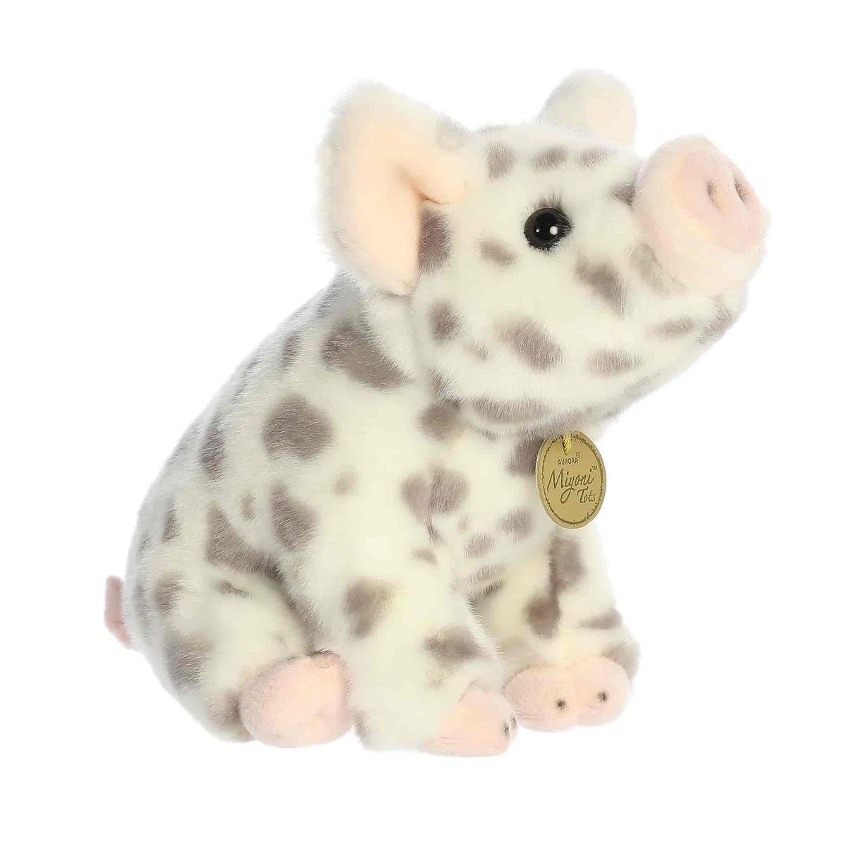 Aurora Toy Figure