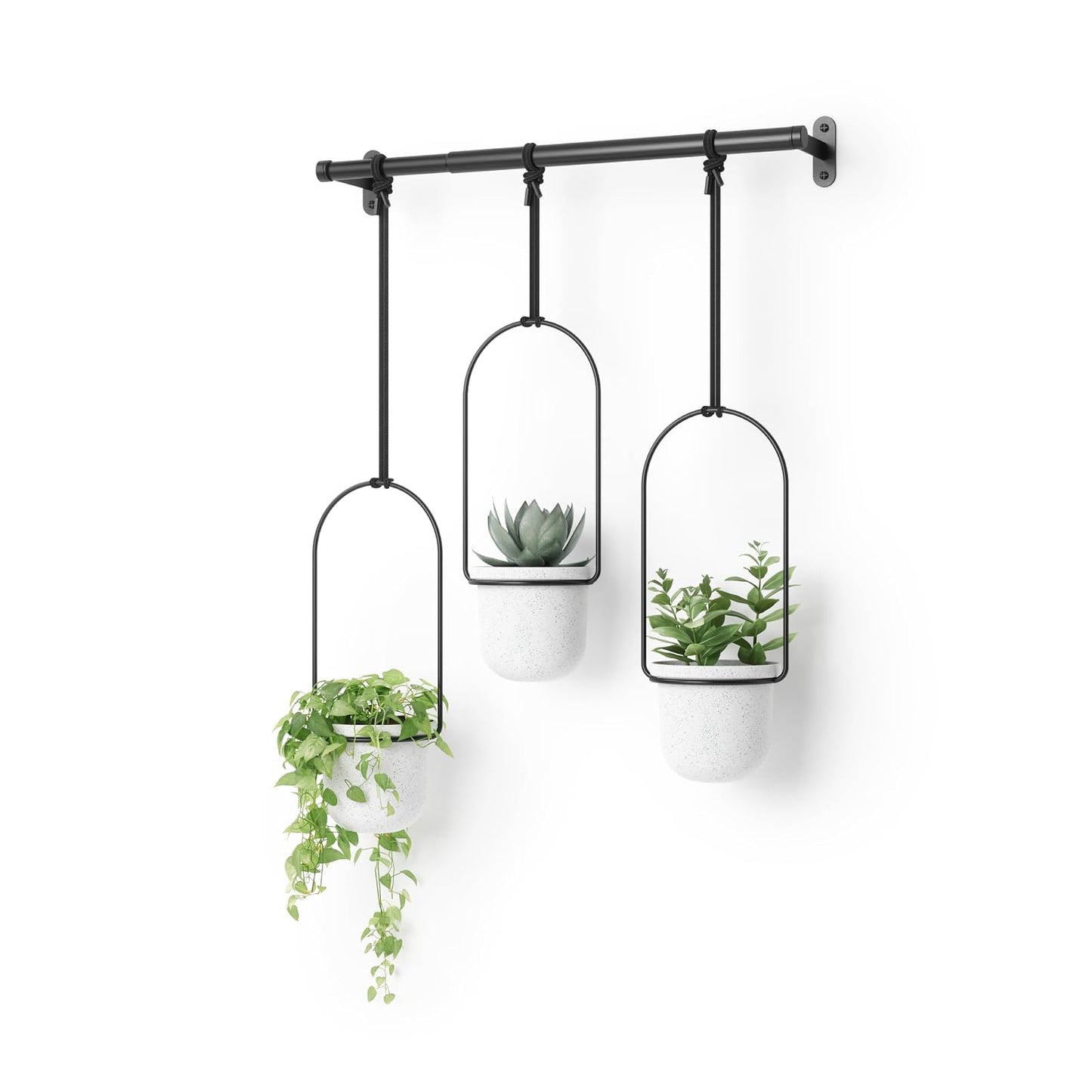 Umbra Triflora Hanging Planter for Window, Indoor Herb Garden, White/Black