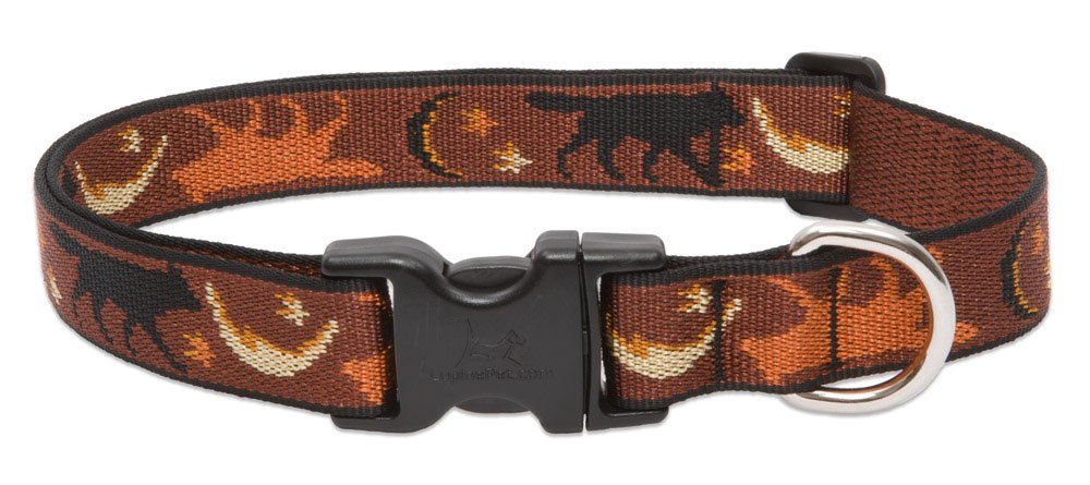 LupinePet Animal Collar, 1" wide; 16-28", Brown