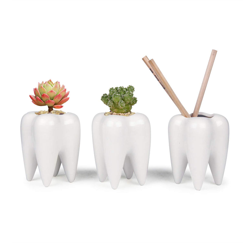 ComSaf Cute Tooth Shaped Pen Pencil Holder, White Ceramic Succulent Planter Pots for Home Office Decoration Desk Organization, Set of 3