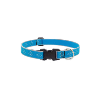 LupinePet Animal Collar, 1"w; 25-31", Blue