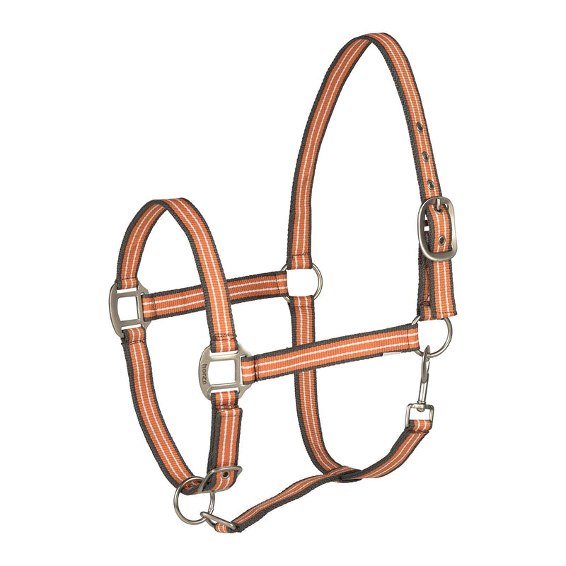 HORZE Adepto Halter - Coral Gold - Horse