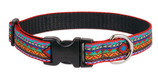Lupine Pet Dog Collar 1" Wide El Paso Design adjusts 12-20" Long