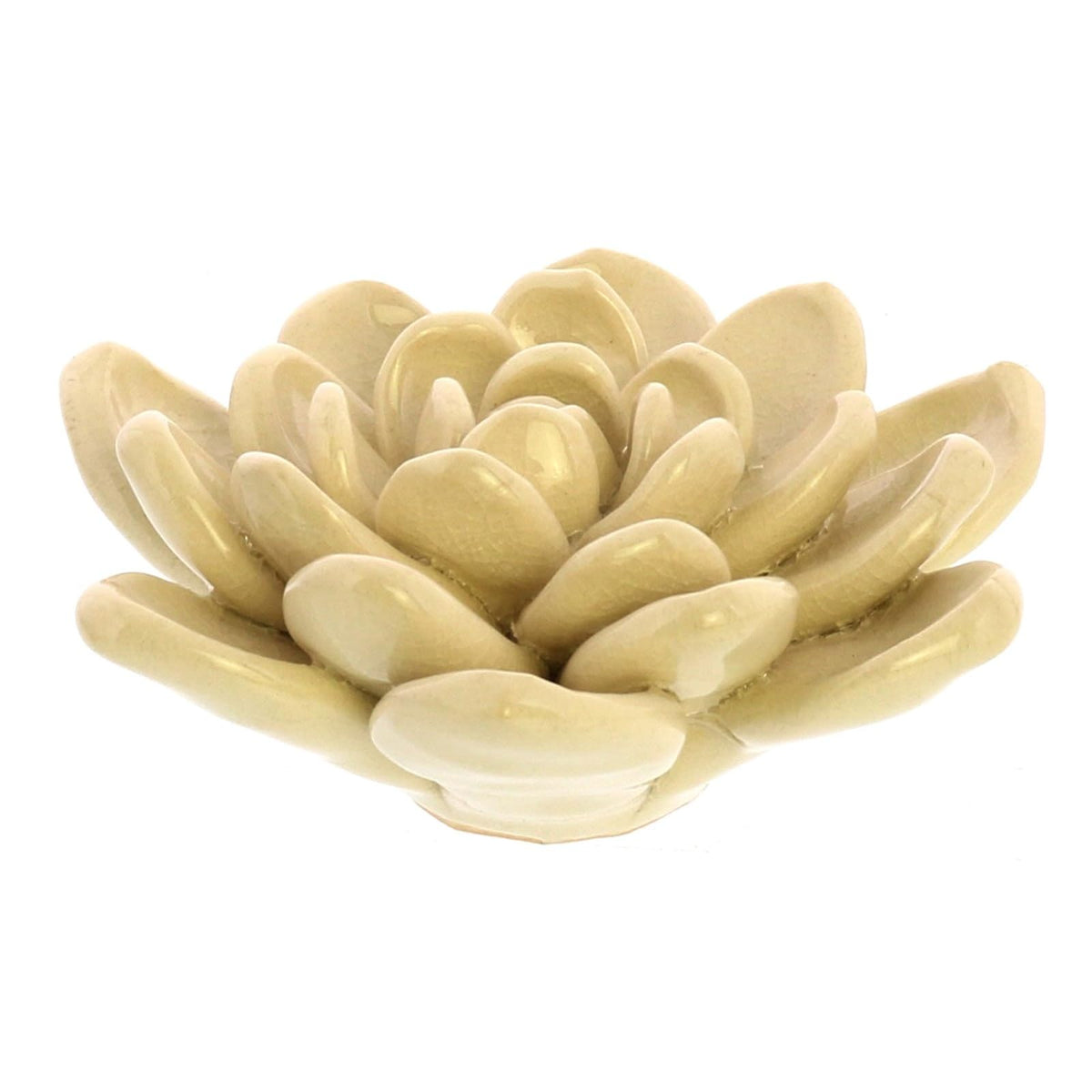HomArt Artificial Plant, Cream