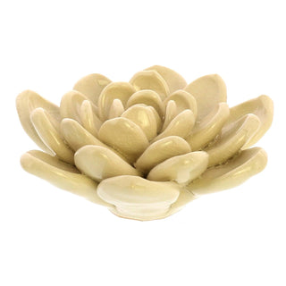 HomArt Artificial Plant, Cream